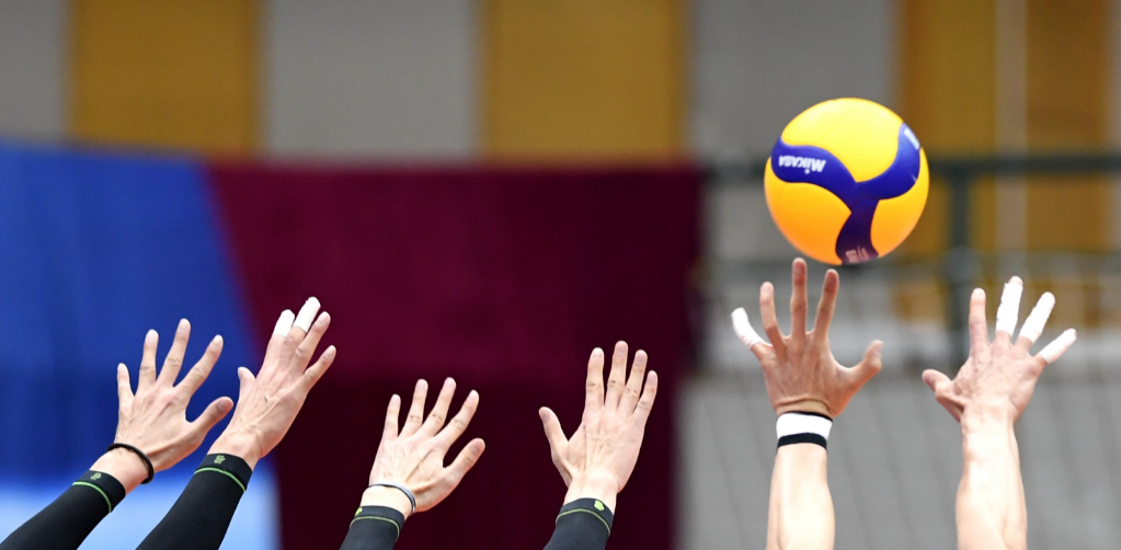 排球.png 排球.png