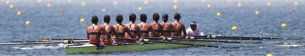 微信截图_20240628073826.png 微信截图_20240628073826.png