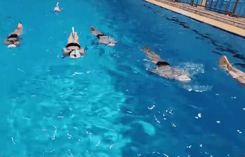 十一前发09.gif 十一前发09.gif